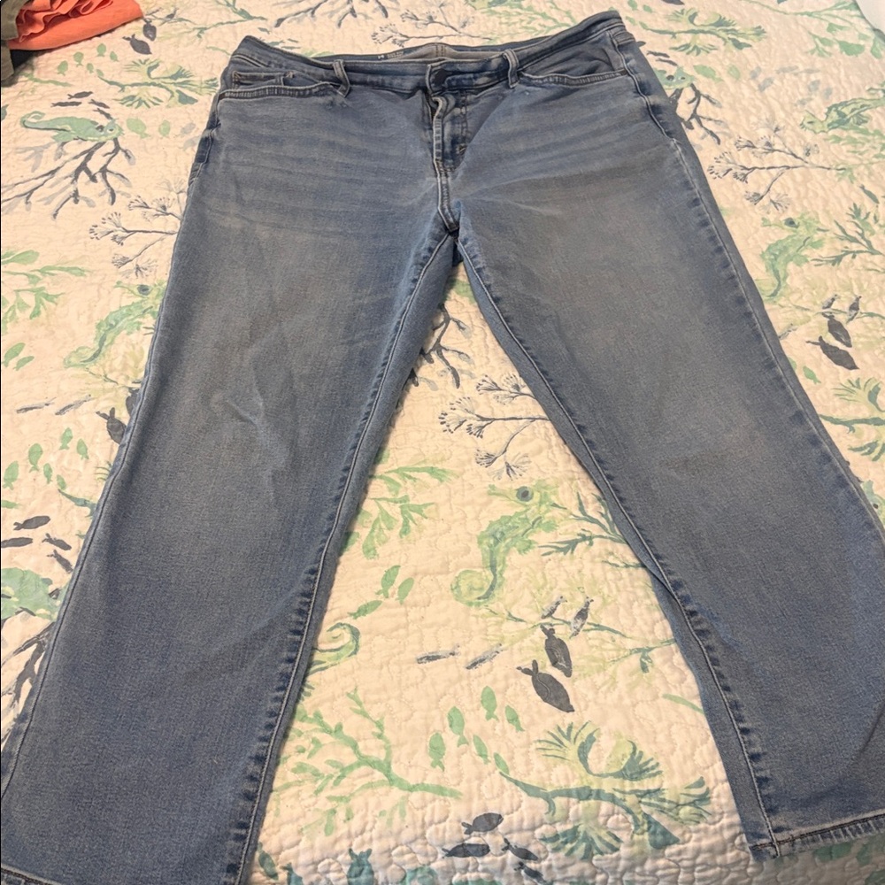 Ana Classic Blue Women's Jeans